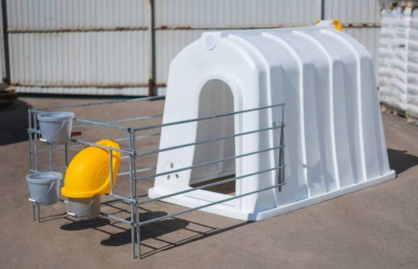 Загон для телят